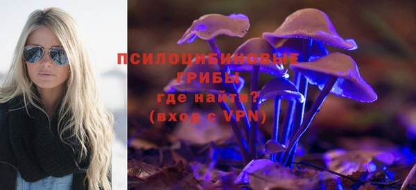 мяу мяу кристалл Алексин