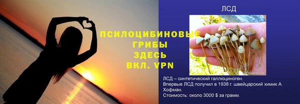 стаф Алексеевка