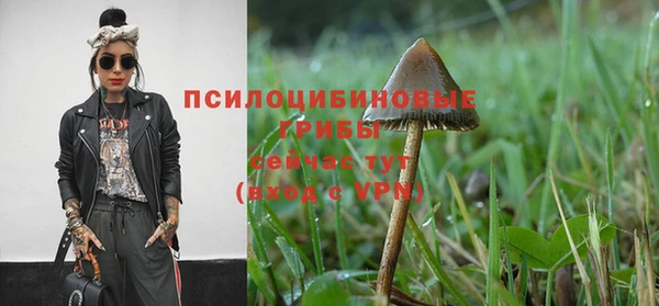 а пвп мука Абаза