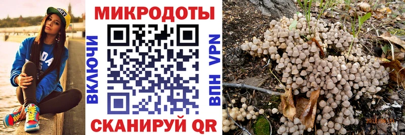 Галлюциногенные грибы Psilocybine cubensis  где купить наркотик  Стерлитамак 